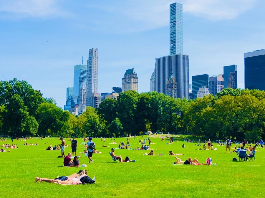 IMG_9550.jpg?type=w966