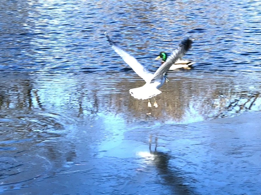 IMG_0591.jpg?type=w966