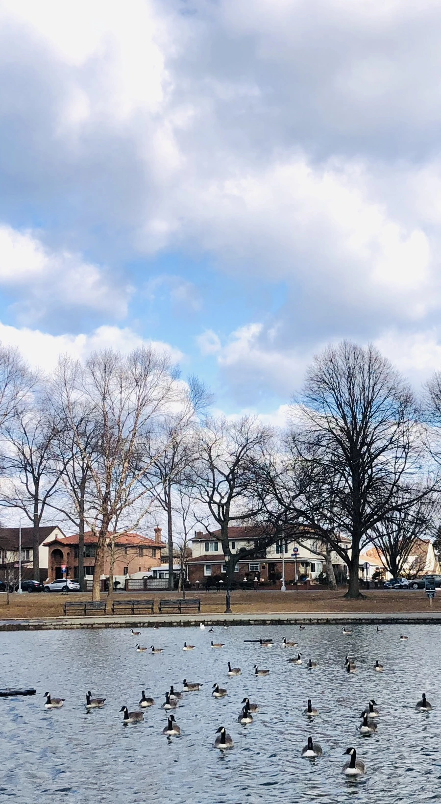 IMG_0146.jpg?type=w966