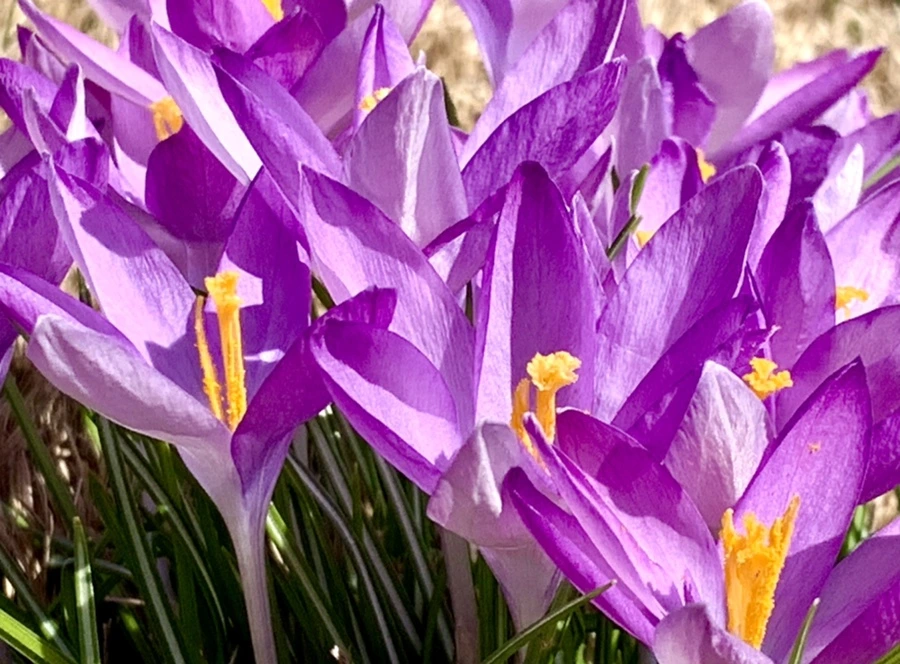 IMG_0684.jpg?type=w966