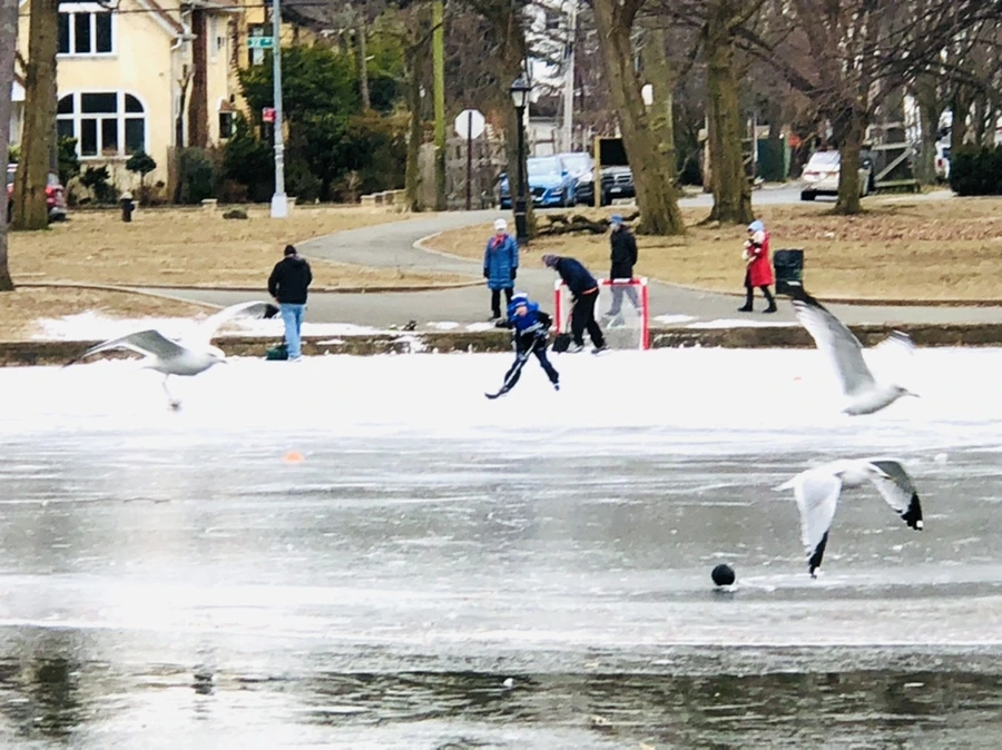 IMG_8316.jpg?type=w966