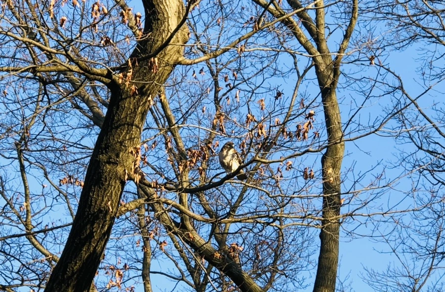 IMG_4844.jpg?type=w966