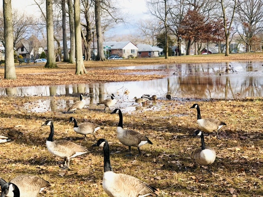 1oqKXy88plSDVhtfmVAzj3O6er0