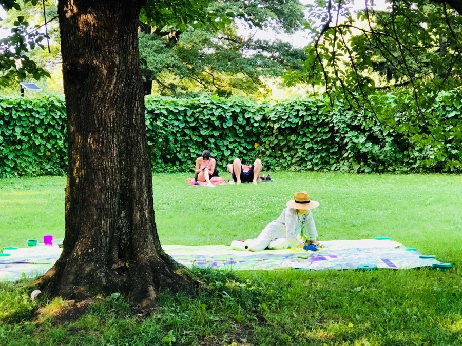 IMG_1063.jpg?type=w966