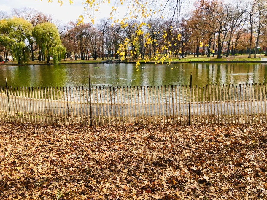 IMG_5438.jpg?type=w966