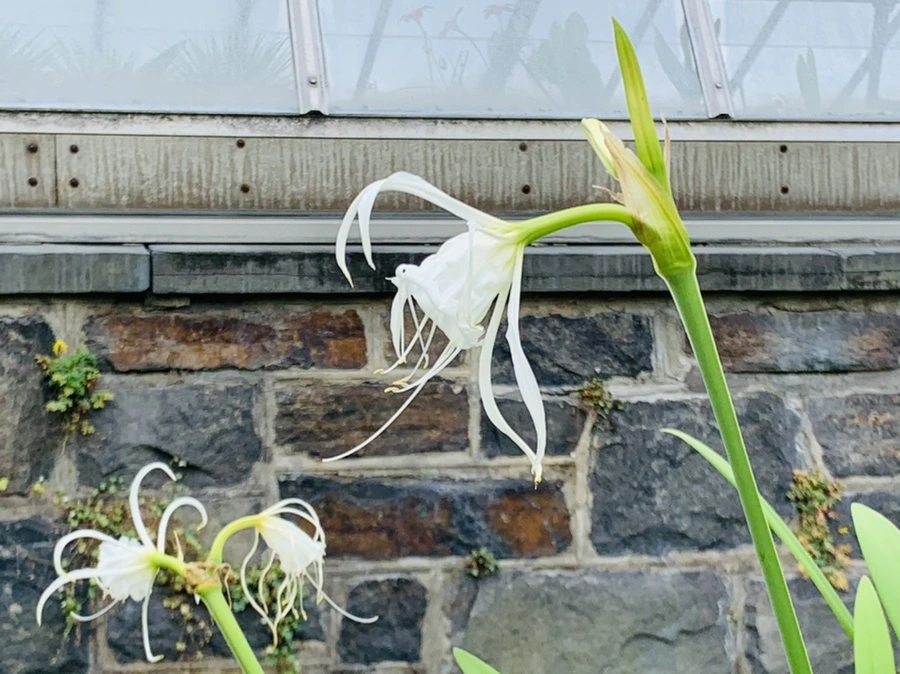 IMG_9502.jpg?type=w966