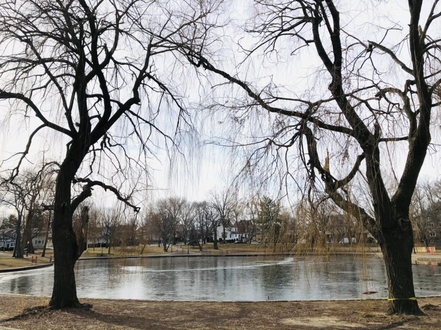 IMG_5753.jpg?type=w966