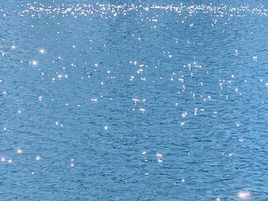 IMG_7548.jpg?type=w966