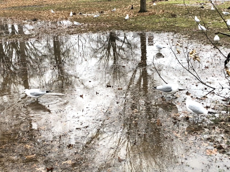 IMG_9477.jpg?type=w966