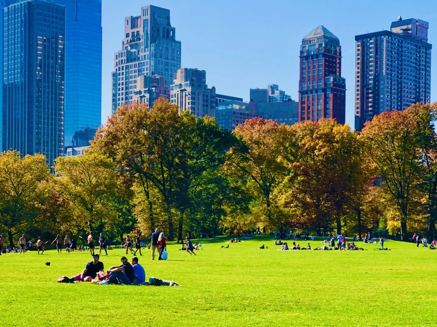 IMG_3810.jpg?type=w966