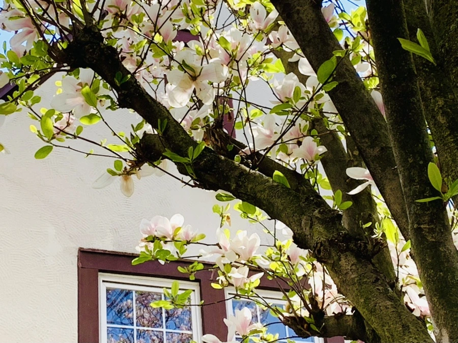 IMG_3944.jpg?type=w966