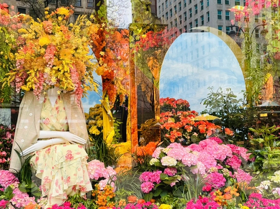 IMG_7651.jpg?type=w966