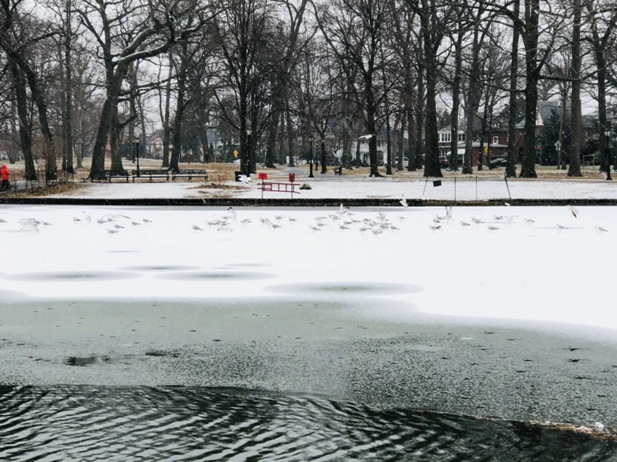 IMG_6102.jpg?type=w966