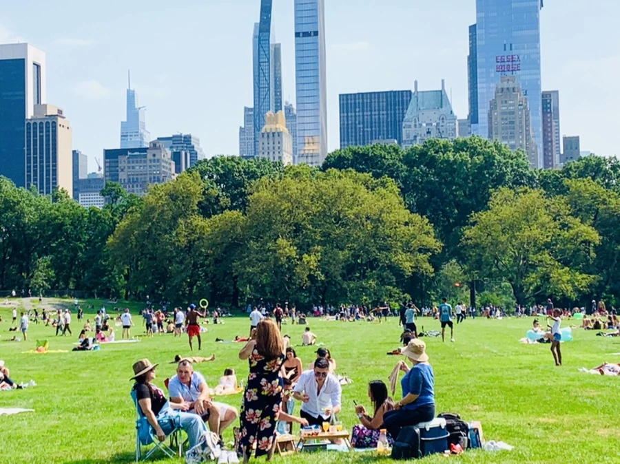 IMG_0597.jpg?type=w966