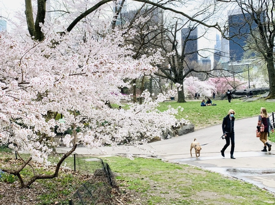 IMG_9654.jpg?type=w966