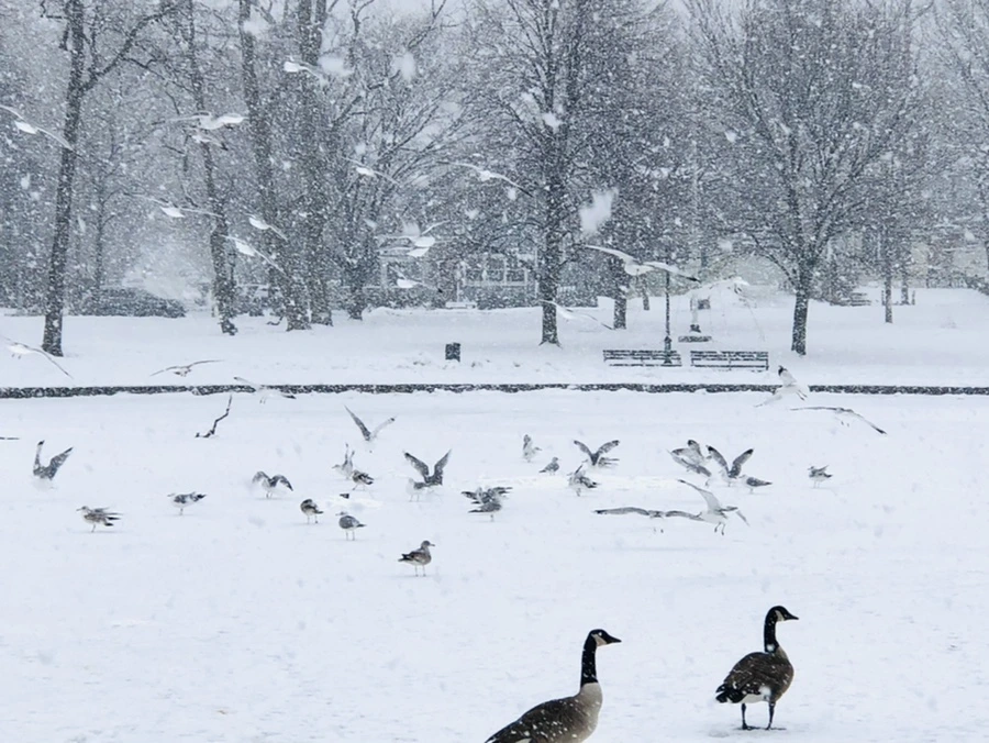 IMG_4228.jpg?type=w966