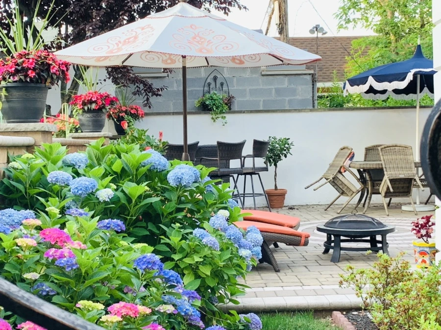 IMG_5549.jpg?type=w966