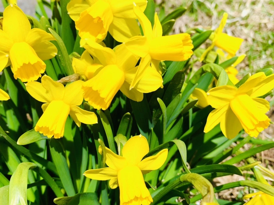 IMG_3384.jpg?type=w966