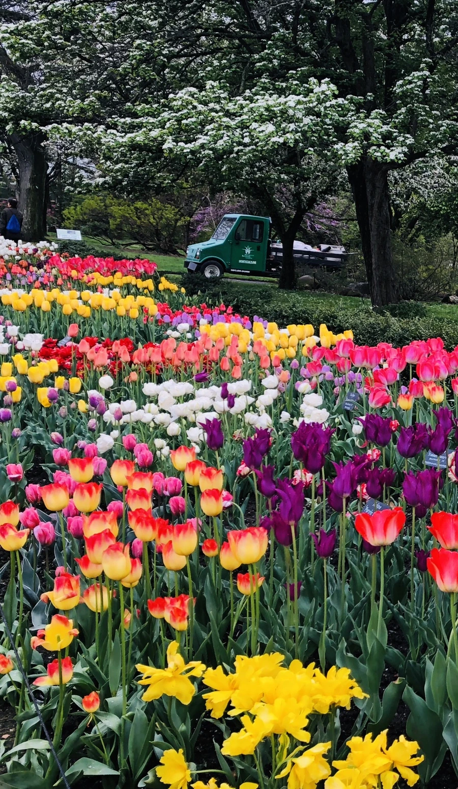 IMG_3702.jpg?type=w966