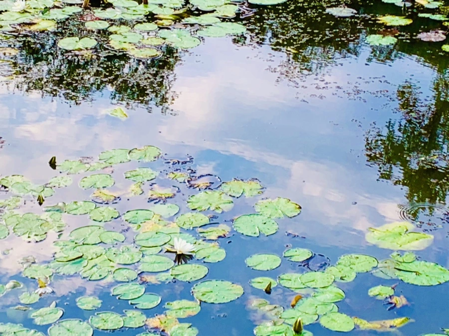 IMG_5836.jpg?type=w966