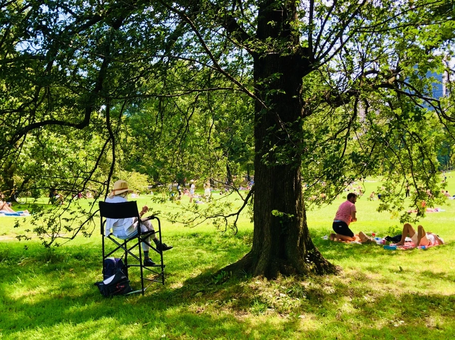 IMG_9492.jpg?type=w966