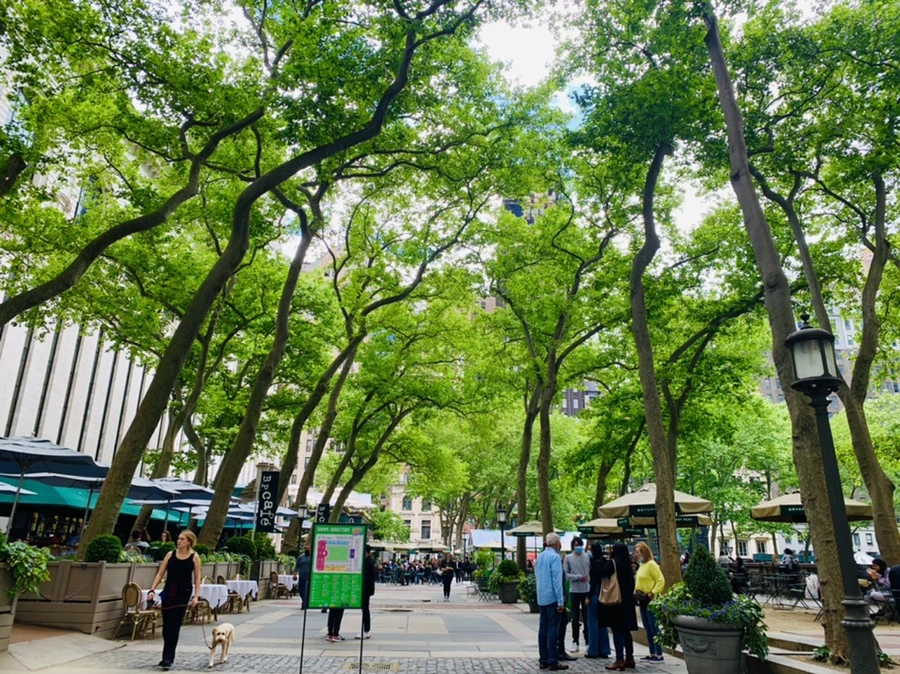 IMG_9137.jpg?type=w966