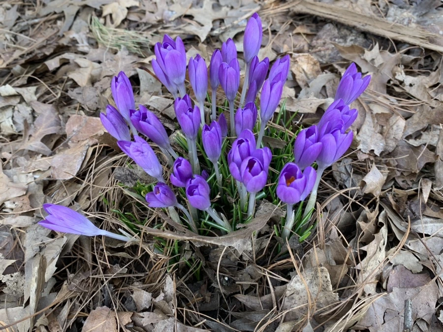 IMG_9713.jpg?type=w966