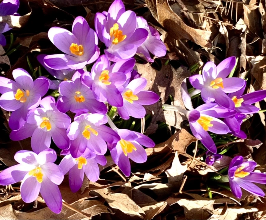 IMG_9619.jpg?type=w966