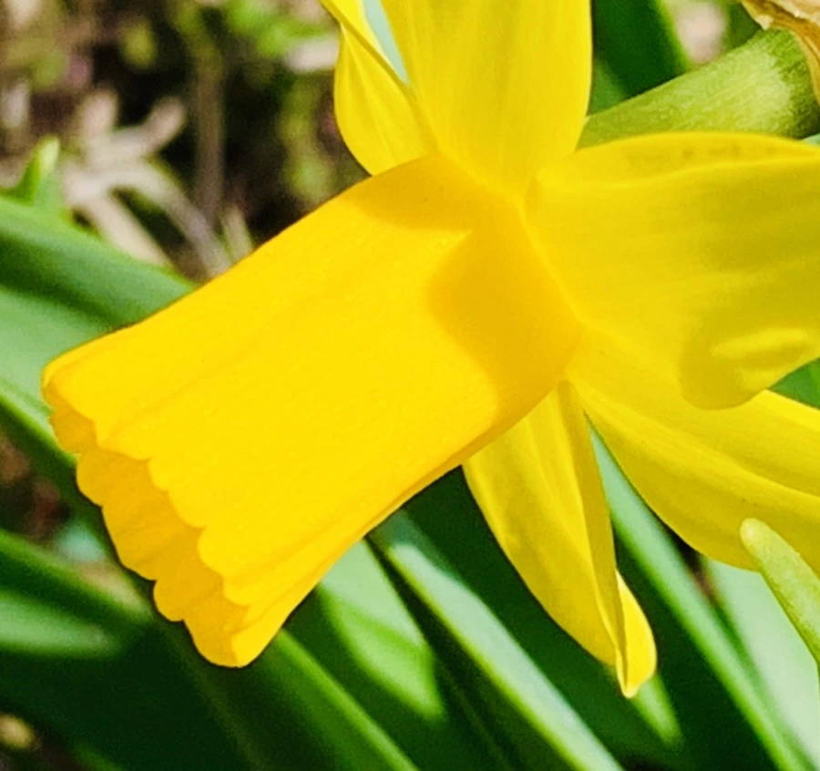 IMG_3420.jpg?type=w966