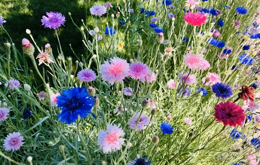 ljP_VD84NnVdLfRLvdxrtzTLh-I