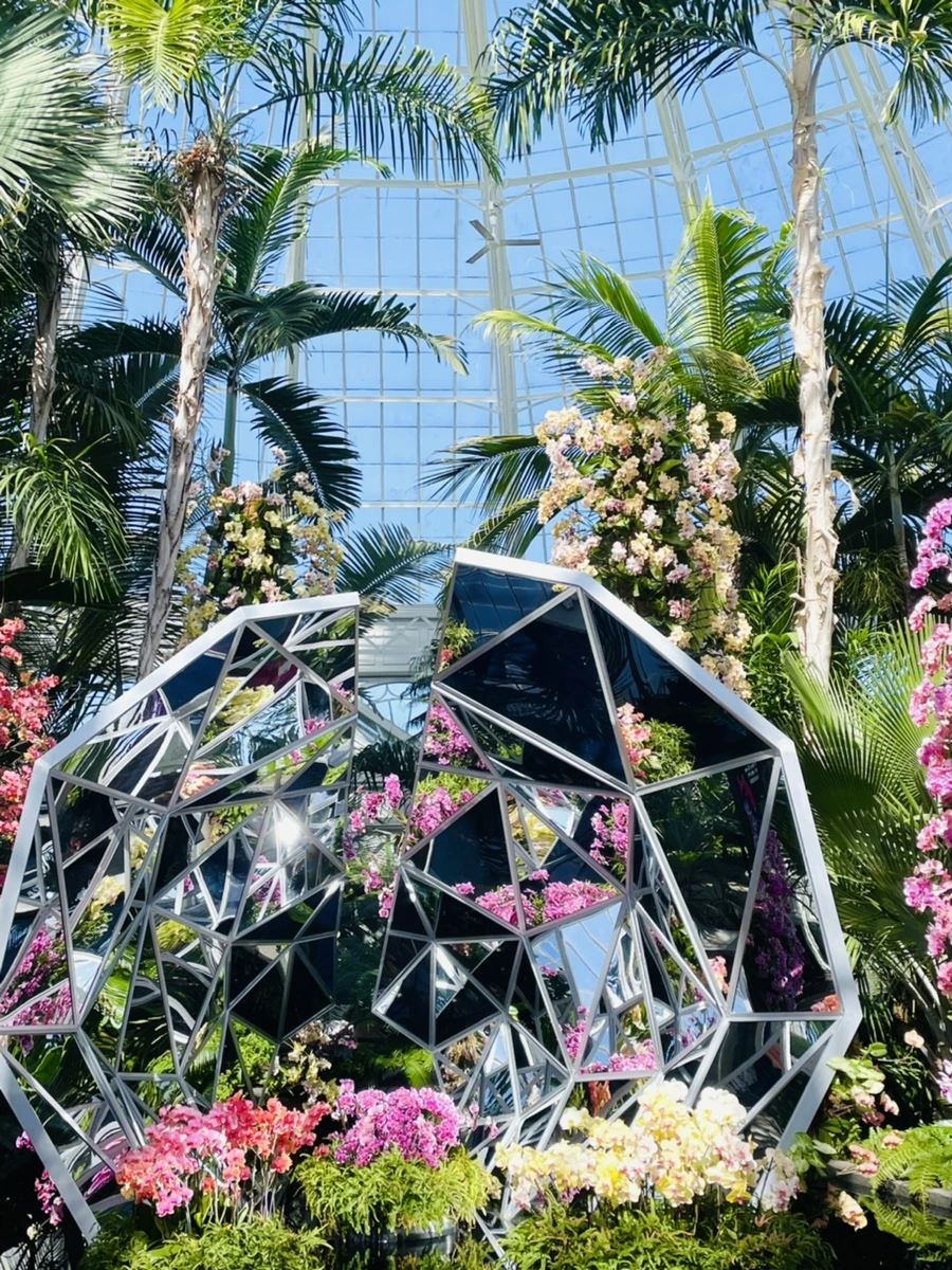 IMG_6409.jpg?type=w966