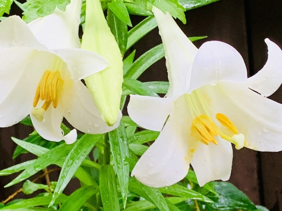 JBQ70Ufn-Vh7ow_X9_8McpZn-Lk