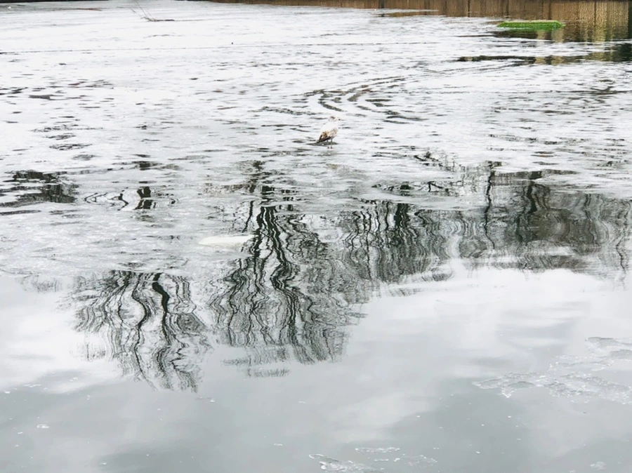 IMG_6410.jpg?type=w966