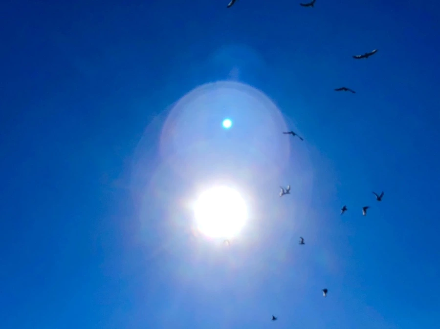 IMG_7855.jpg?type=w966