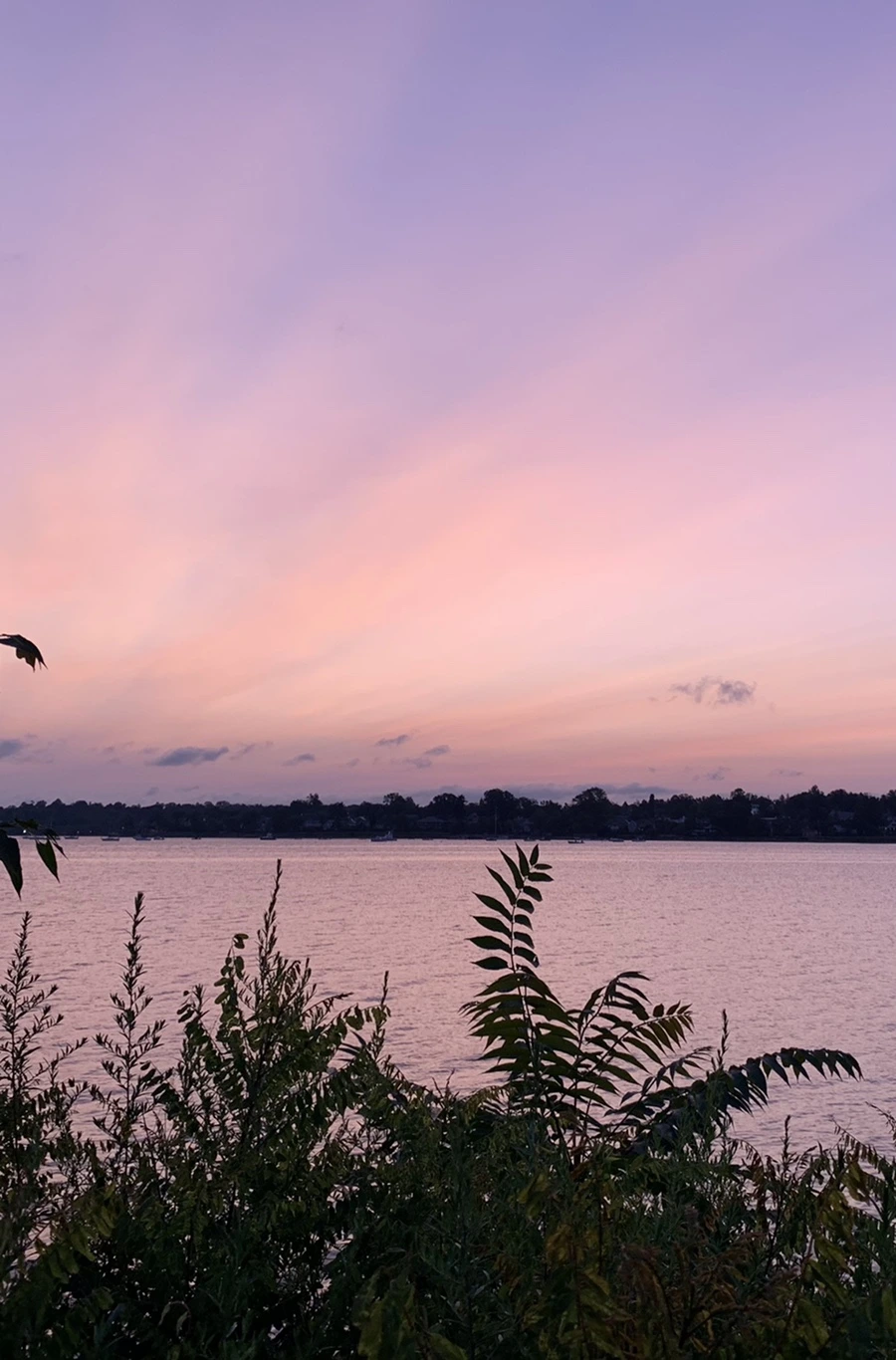 IMG_5358.jpg?type=w966