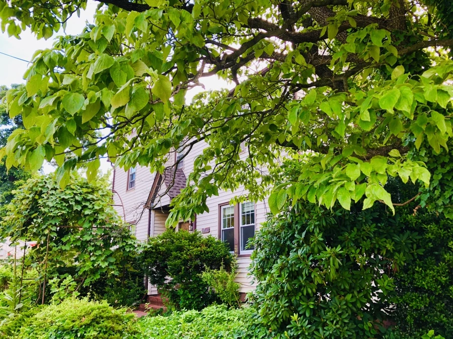 IMG_2971.jpg?type=w966