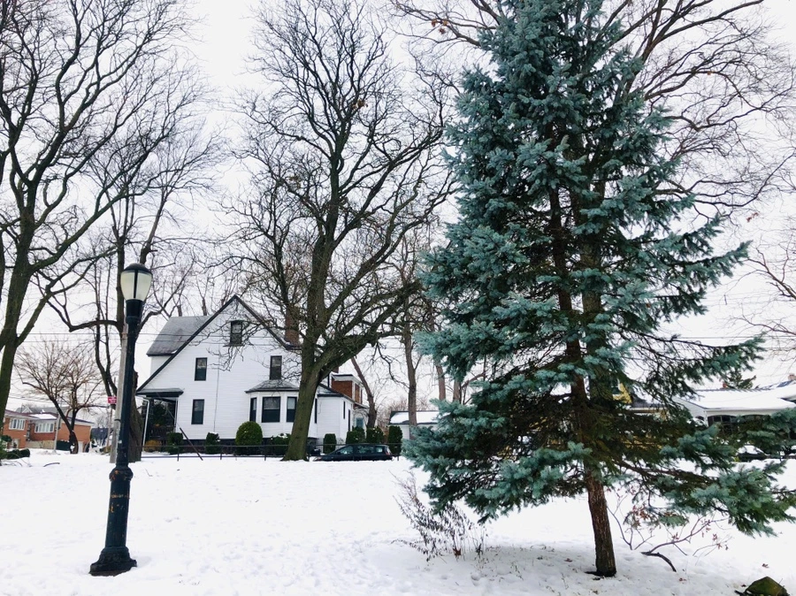 IMG_7575.jpg?type=w966