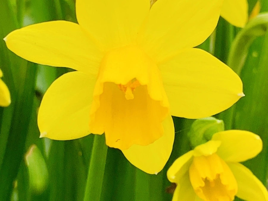 IMG_3486.jpg?type=w966