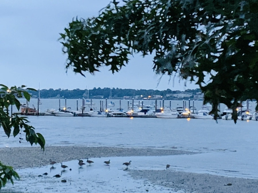 IMG_6701.jpg?type=w966