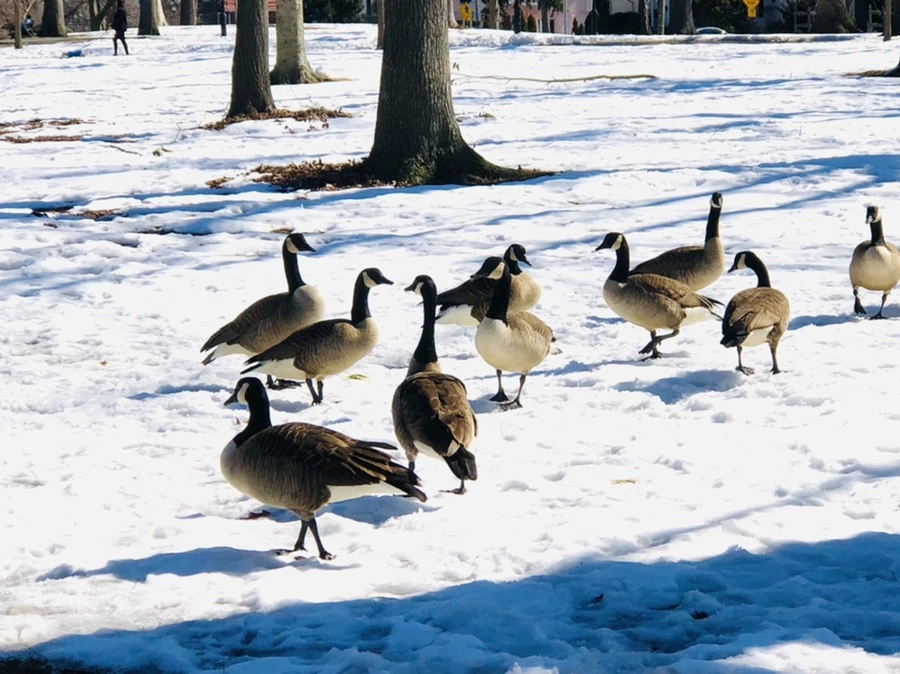 IMG_4519.jpg?type=w966