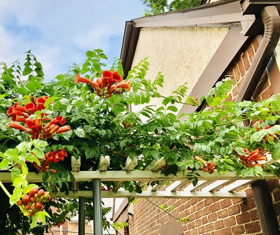 qCDWWE-sAdUXUMAFg4ECXOs9XIw