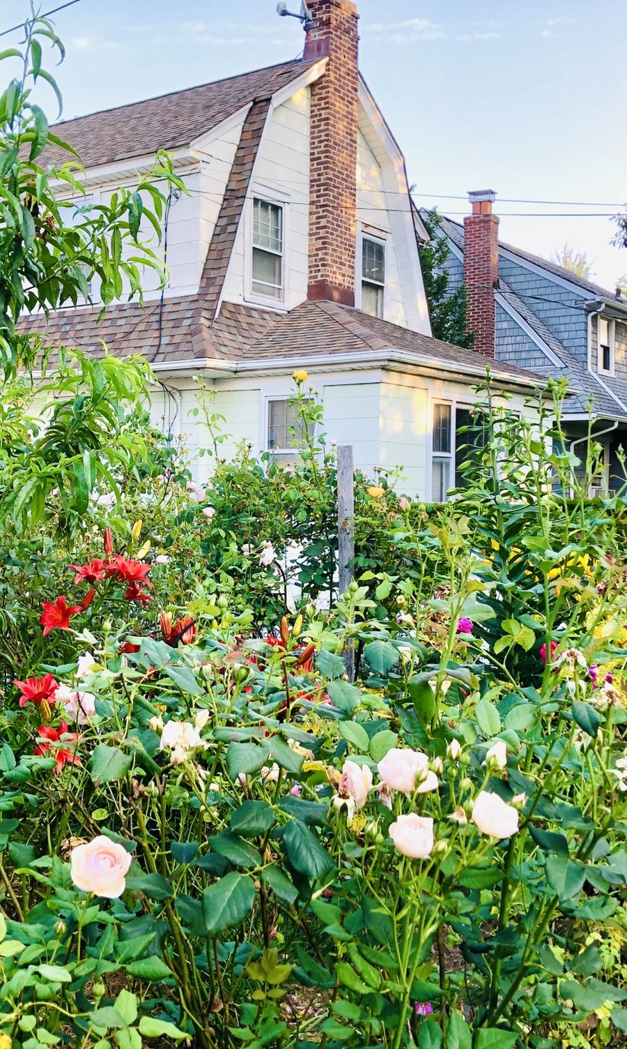 IMG_0201.jpg?type=w966