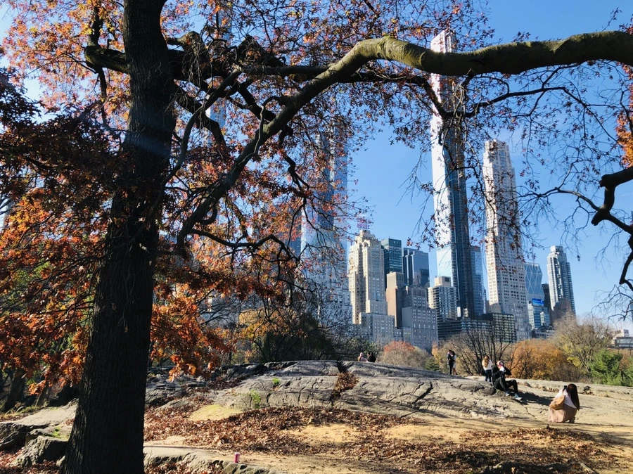 IMG_5138.jpg?type=w966