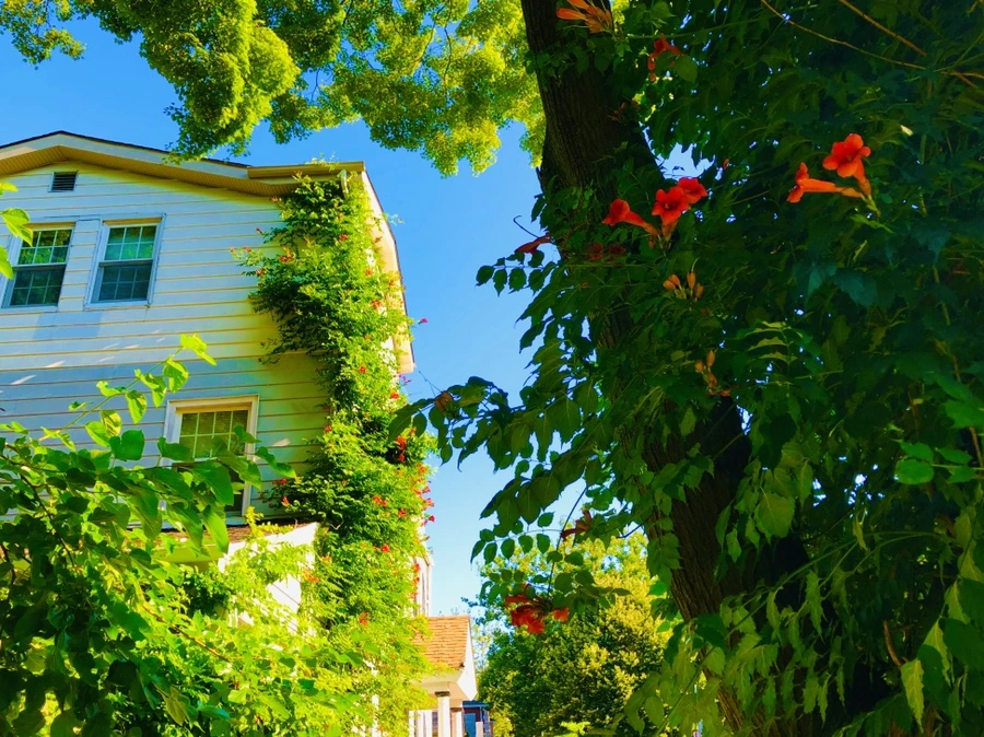 IMG_2779.jpg?type=w966