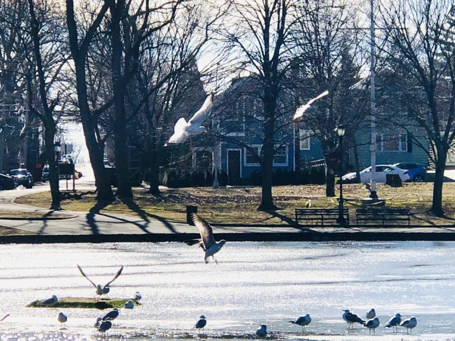 IMG_6683.jpg?type=w966