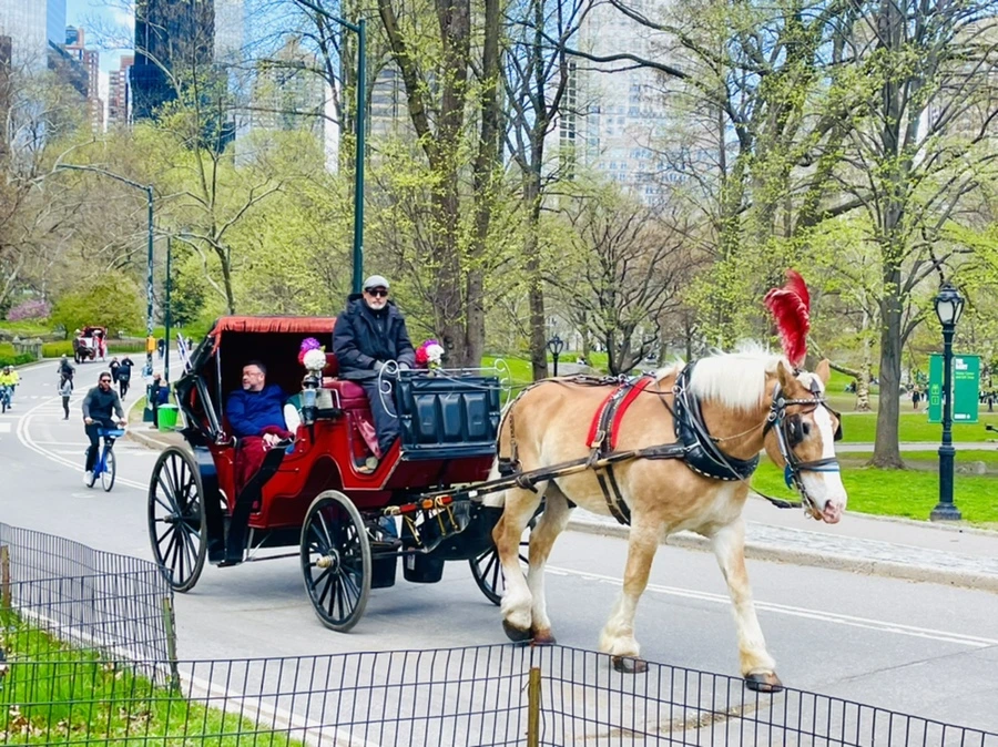 IMG_1126.jpg?type=w966