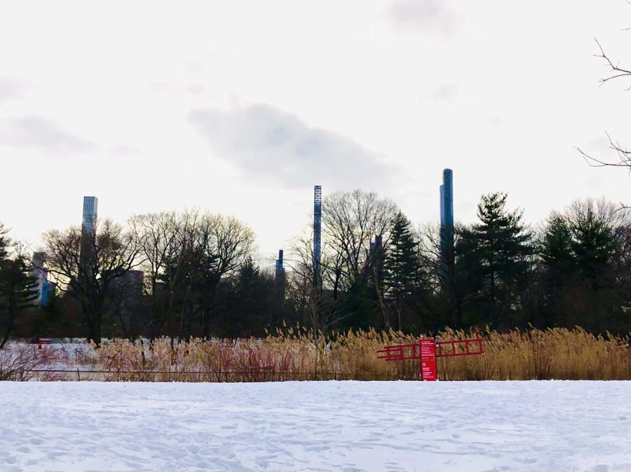 IMG_7325.jpg?type=w966