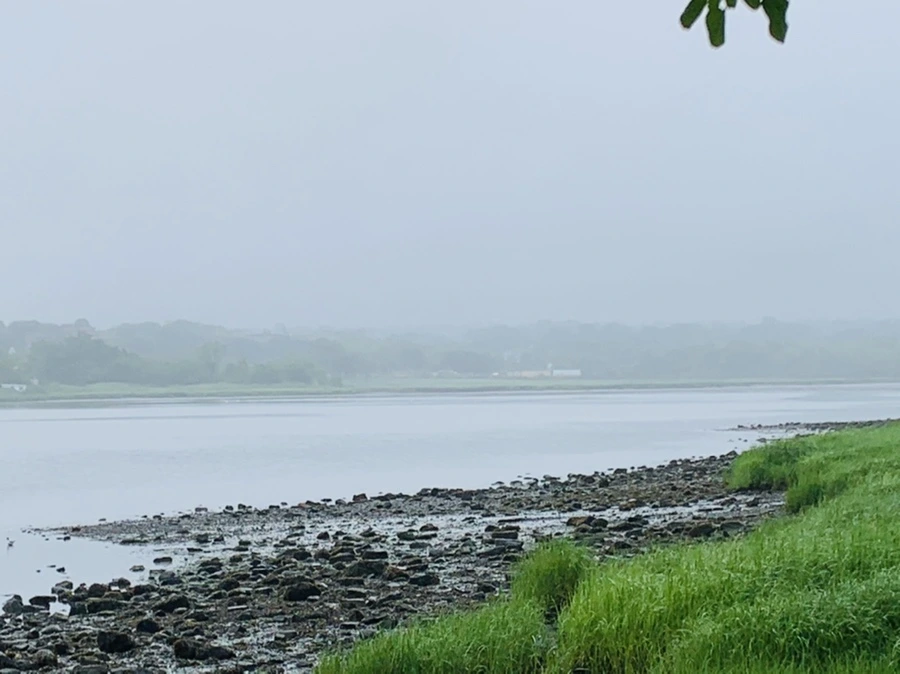 IMG_4754.jpg?type=w966