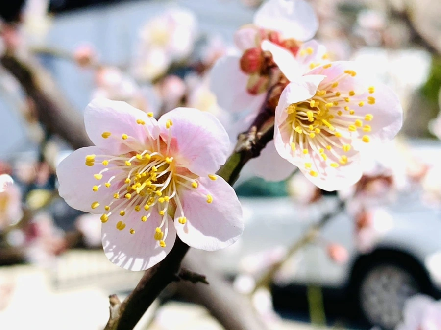 IMG_0986.jpg?type=w966