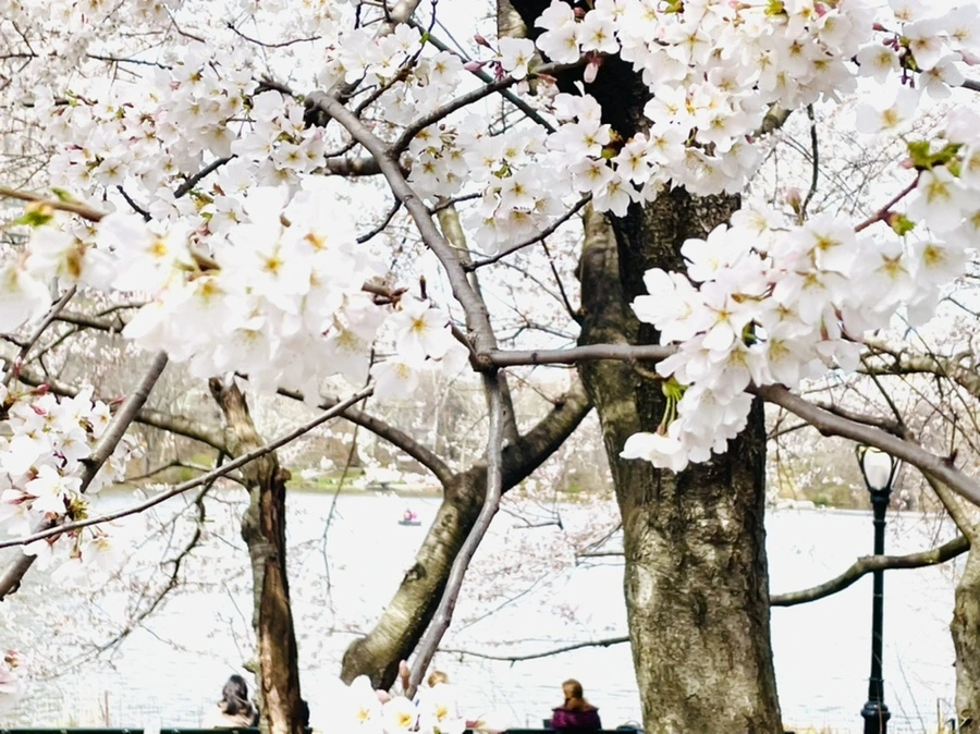 IMG_8894.jpg?type=w966